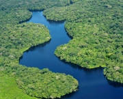 floresta-amazonica-1