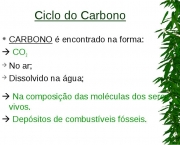 o-ciclo-do-carbono-1