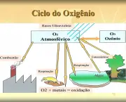 etapas-do-ciclo-do-oxigenio-1