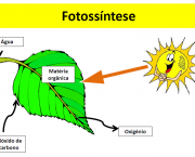 fotossintese-e-respiracao-1