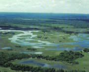 pantanal-3