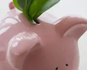 Fresh leaves in piggy bank --- Image by Â© Jamie Grill/Tetra Images/Corbis