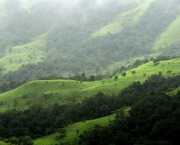 biodiversidade-e-ameacas-ambientais-na-india-4
