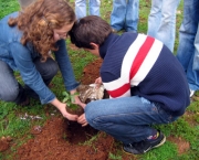 plantar-arvores-e-essencial-para-restaurar-ecossistemas-florestais-4