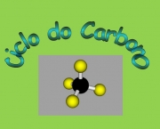 o-ciclo-do-carbono-9