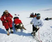 RImage    CLYDE RIVER, NUNAVUT, BAFFIN ISLAND, CANADA    Inuit hunter and team member Simon Qamaniq (R) pulls the sled next to Richard Branson (L) in order to harness the dogs, near Clyde River.  (Photo by Thierry Boccon-Gibod/Getty Images)