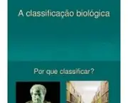 a-classificacao-biologica-moderna-3