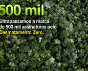 a-lei-do-desmatamento-zero-2