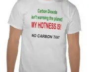 acao-politica-e-carbono-2