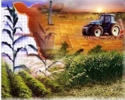 Agricultura do Futuro (11).jpg