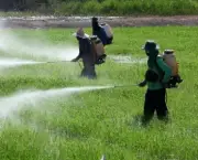 Agrotóxicos e Pesticidas (7)