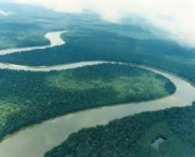 amazonia-colombiana-caracteristicas-ecologicas-1