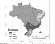 areas-de-cultivo-no-brasil-5