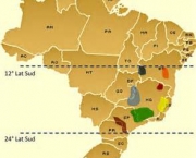 areas-de-cultivo-no-brasil-13