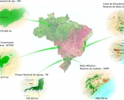 areas-protegidas-no-brasil-2
