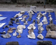 Artefatos encontrados no lago Issyk-Kul (2)