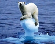 as-geleiras-e-o-aquecimento-global-aumento-do-nivel-do-mar-4