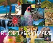 biodiversidade-e-ecossistema-2