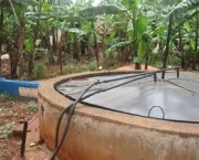 biogas-produzido-por-bacterias-anaerobicas-2
