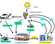 biogas-produzido-por-bacterias-anaerobicas-3