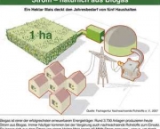 biogas-produzido-por-bacterias-anaerobicas-6