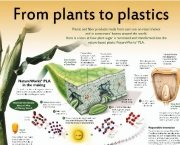 bioplastico-plastico-ecologico-5