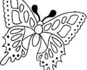 borboletas-para-colorir-10