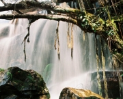 cachoeira-das-andorinhas-15