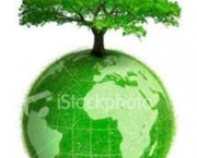 campanha-de-preservacao-do-meio-ambiente-5