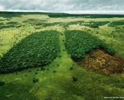 campanha-de-preservacao-do-meio-ambiente-6