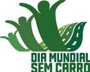 carona-solidaria-reduzindo-a-poluicao-do-ambiente-10