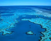 The Great Barrier Reef, the world's largest coral reef, lies in the Coral Sea off northeastern Australia. Near Queensland, Australia