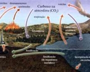 ciclo-do-carbono-2