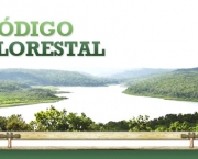 Codigo Florestal (2)