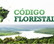 Codigo Florestal (11)