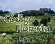 Codigo Florestal (15)