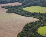Para, Brazil. February 11, 2012. Aerials south of Santarem and along the road BR163. Soy fields and rainforest, coordinates: -2.953281-54.907563. Photo by Daniel Beltra for Greenpeace