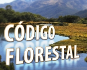 Codigo Florestal (17)