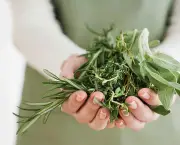 Fill your garden with easy-to-grow medicinal herbs such as sage, rosemary and thyme.