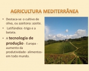 Destaca-se o cultivo de oliva, ou azeitona: azeite. Latifúndios -trigo e a batata. A tecnologia de produção - Europa -aumento da produtividade- alimentos- em todo mundo.