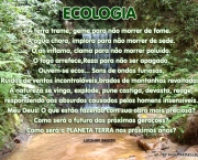 conceitos-gerais-da-ecologia-12
