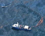 Derramamento de Barris de Petróleo pelo Navio Exxon Valdez no Alasca (1)