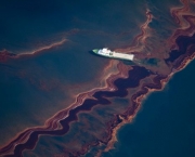 Derramamento de Óleo no Golfo do México (2)