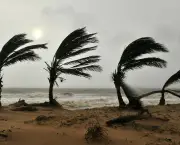 Desastres Naturais na Oceania (5)