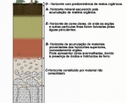 desenvolvimento-do-solo-caracteristicas-gerais-1