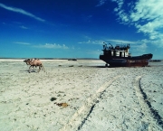 Desertificação do Mar de Aral (1)