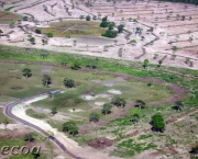 Desmatamento no Pantanal (10)