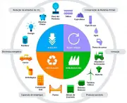 Economia da Reciclagem (1)