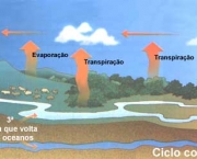 evaporacao-ciclo-de-agua-05