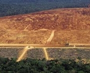 fatores-que-causam-desmatamento-e-degradacao-1